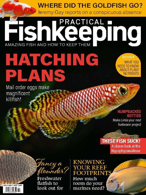 Title details for Practical Fishkeeping by Warners Group Publications Plc - Available